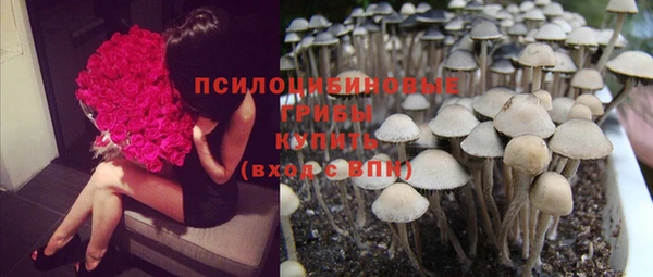 твердый Кинешма